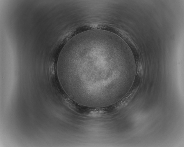 X0000113300470200909211125