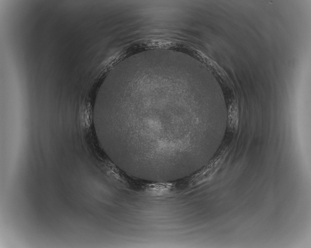 X0000113300474200909211125