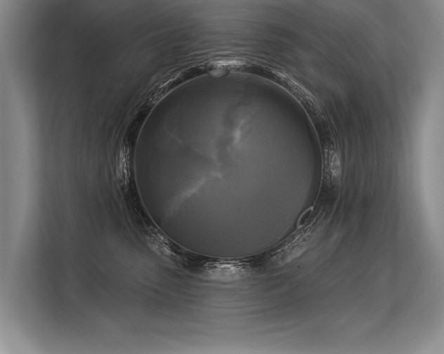 X0000113300475200909211125