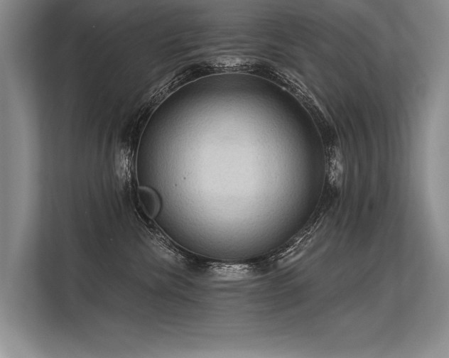 X0000113300476200909211125