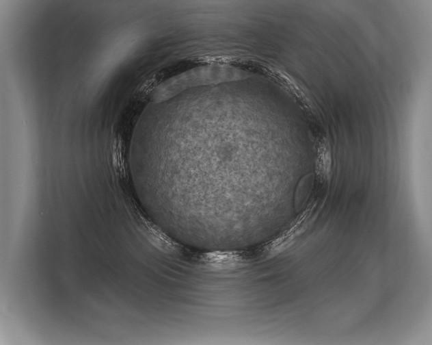 X0000113300477200909211125