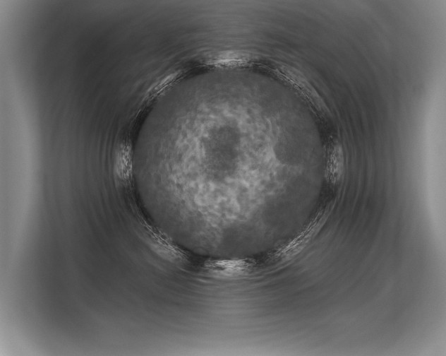 X0000113300478200909211125