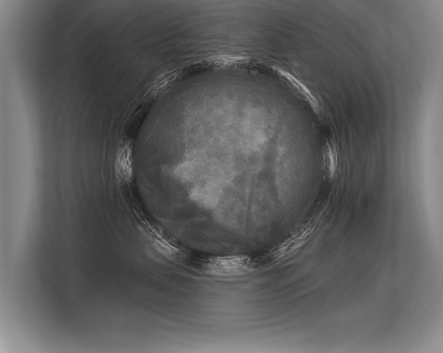 X0000113300479200909211125