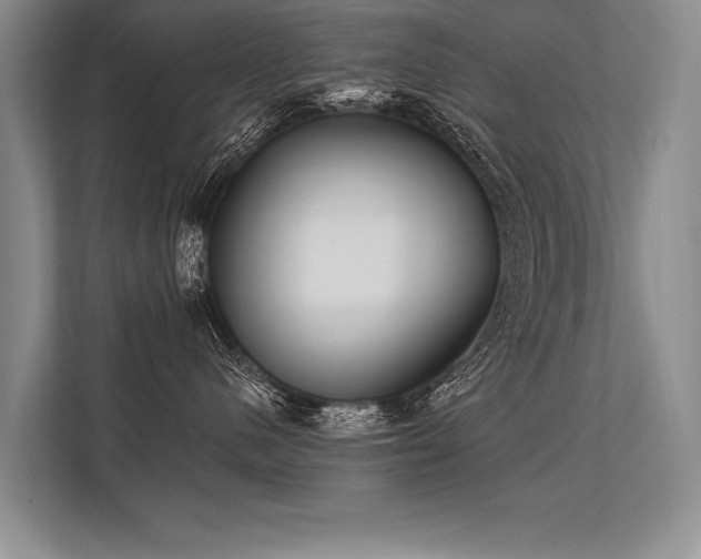 X0000113300480200909211125