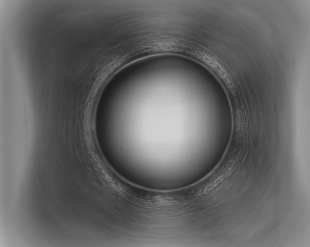 X0000113300481200909211124