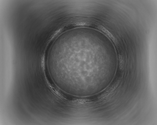 X0000113300482200909211124