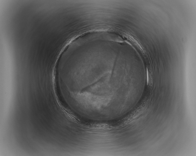 X0000113300483200909211124