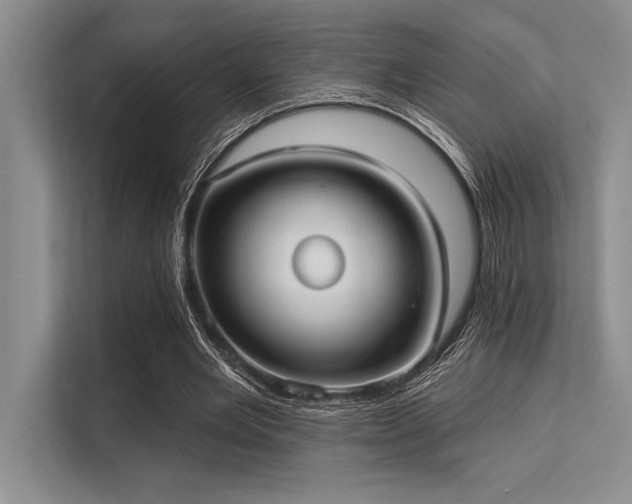 X0000113300485200909211124