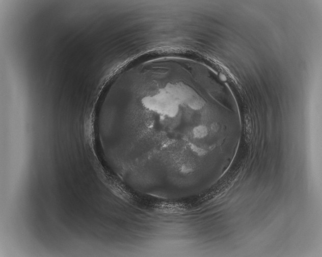 X0000113300487200909211124