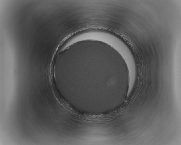 X0000113300488200909211124