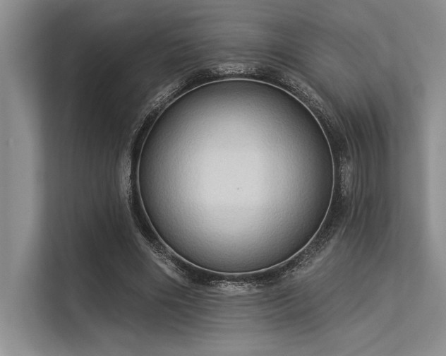 X0000113300490200909211124