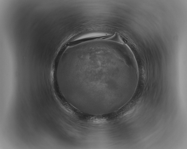 X0000113300491200909211124