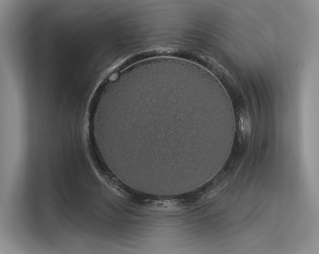 X0000113300492200909211124