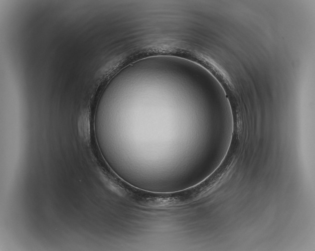 X0000113300493200909211124