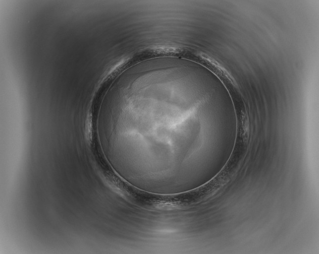 X0000113300494200909211124