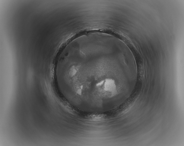 X0000113300495200909211124