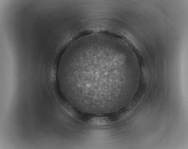 X0000113300499200909211124