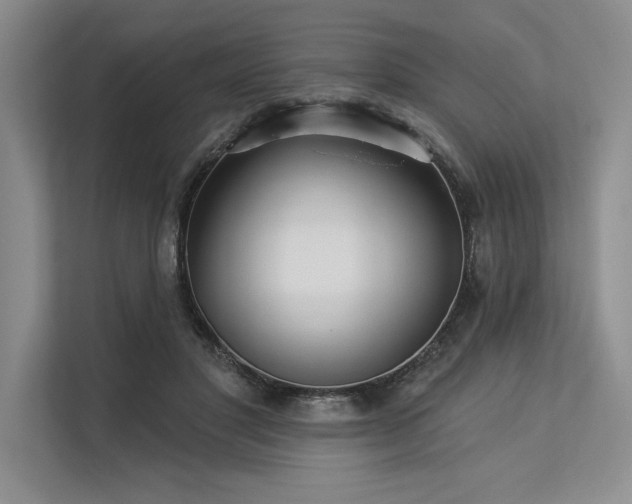 X0000113300501200909211124