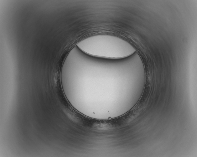 X0000113300503200909211124