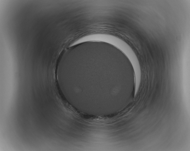 X0000113300504200909211124