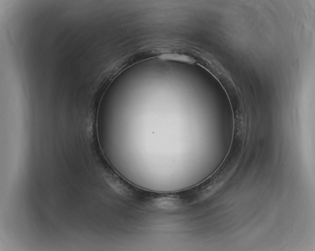 X0000113300505200909211124