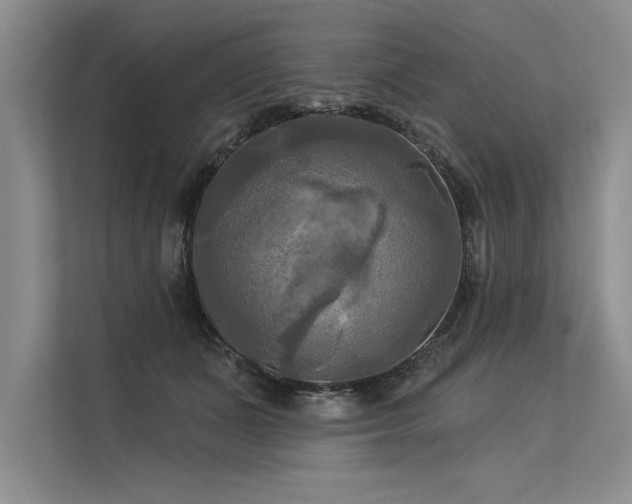 X0000113300511200909211124