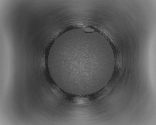 X0000113300512200909211124