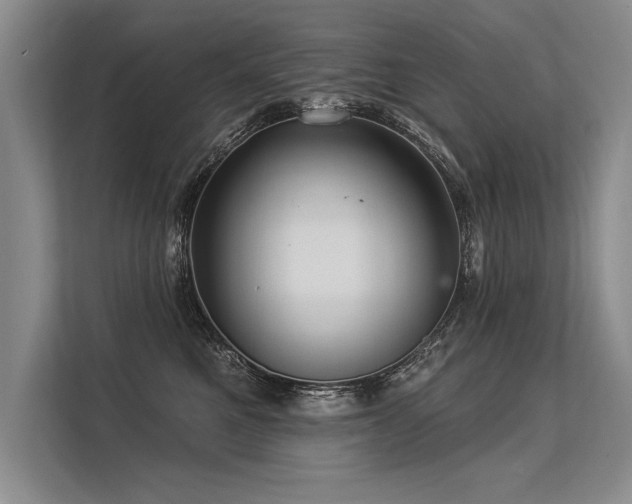 X0000113300521200909211124