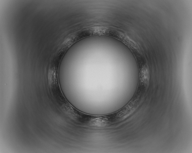 X0000113300522200909211124