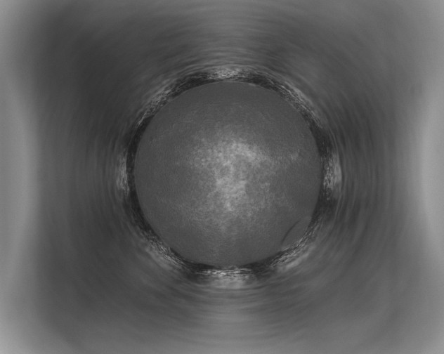 X0000113300524200909211124