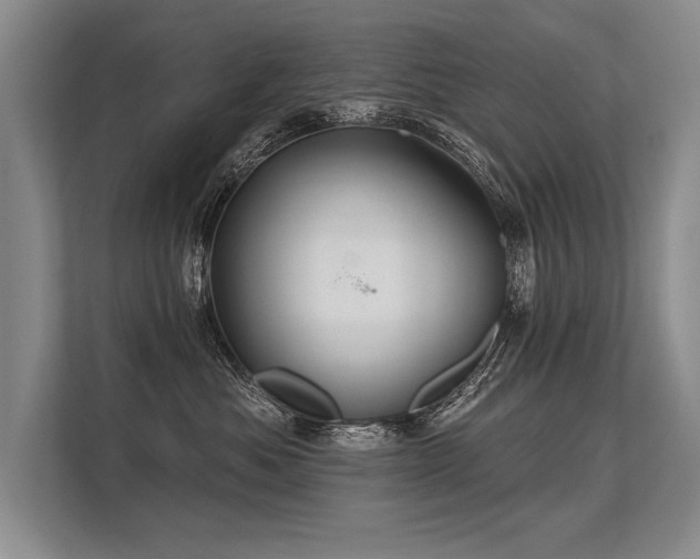 X0000113300525200909211124