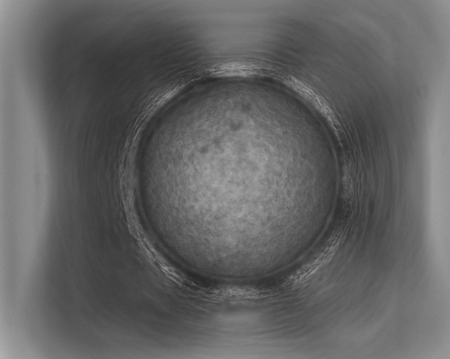 X0000113300529200909211123