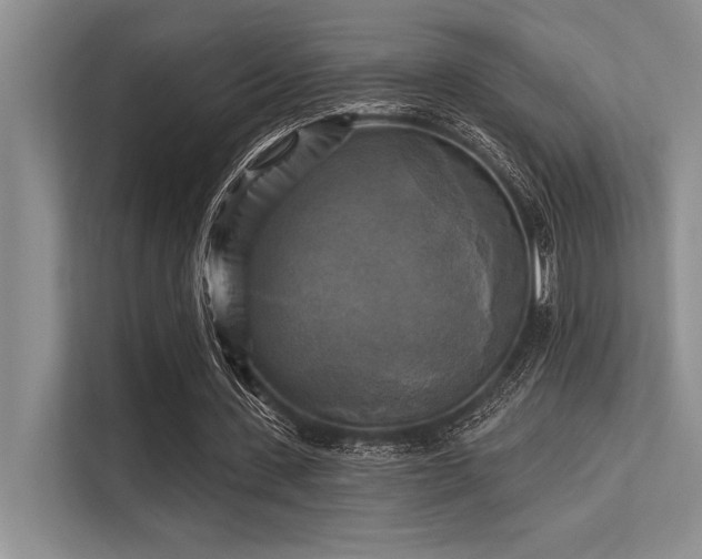 X0000113300531200909211123