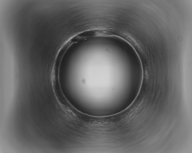 X0000113300532200909211123