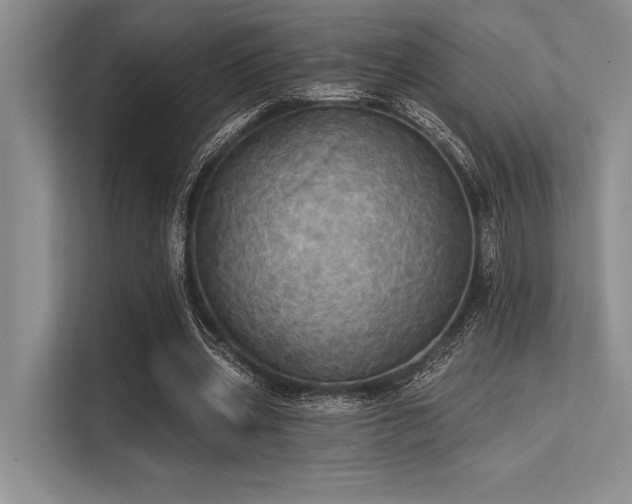 X0000113300533200909211123