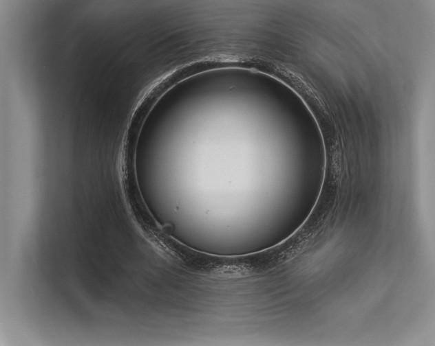 X0000113300536200909211123