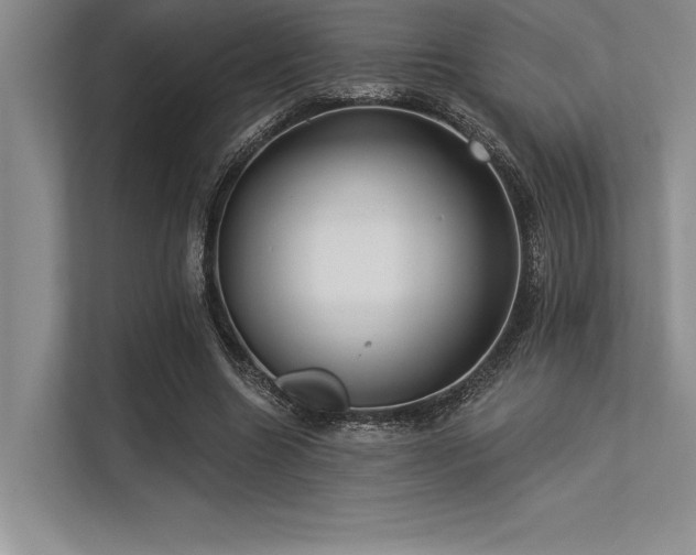 X0000113300538200909211123