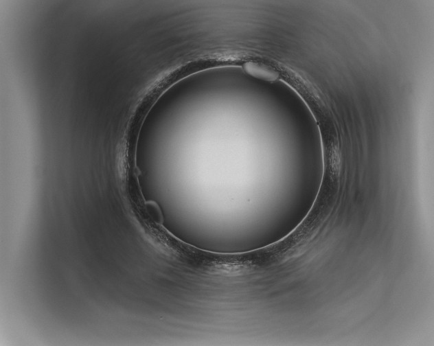 X0000113300540200909211123