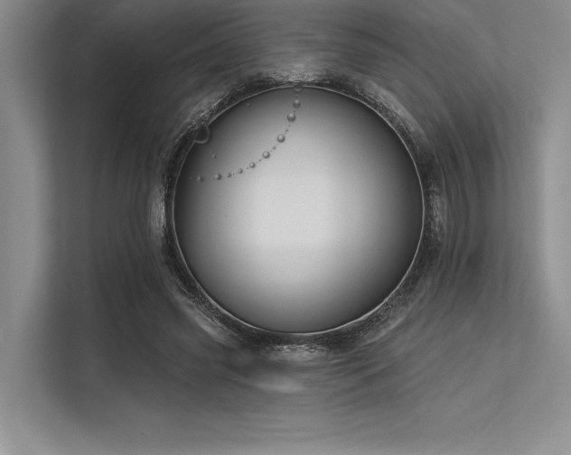 X0000113300541200909211123