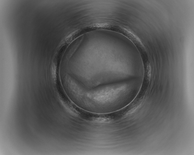 X0000113300542200909211123