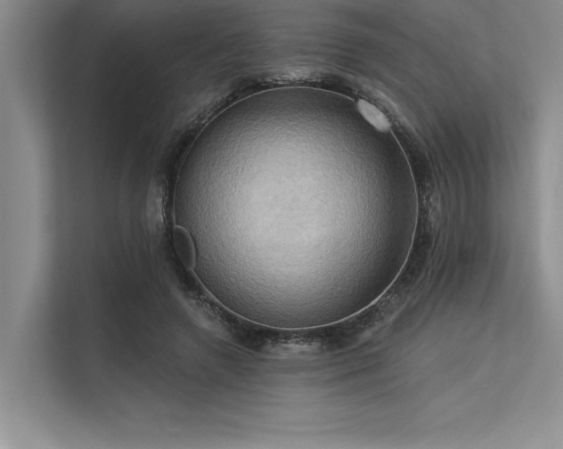 X0000113300546200909211123