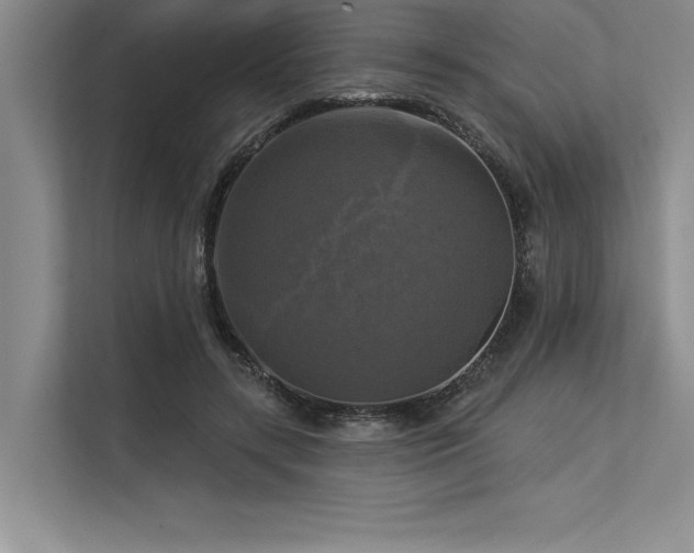 X0000113300547200909211123