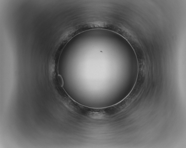 X0000113300548200909211123