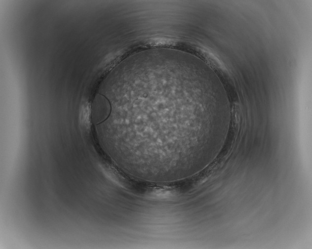 X0000113300550200909211123