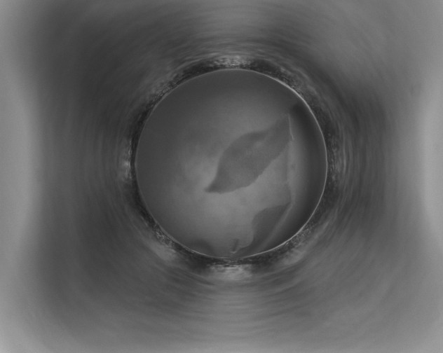 X0000113300553200909211123