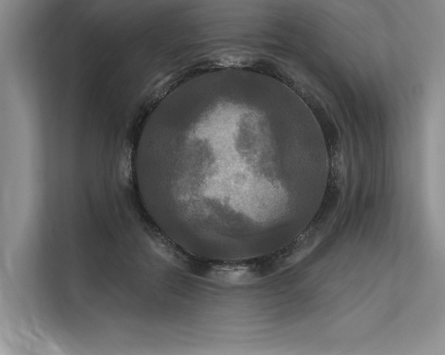 X0000113300554200909211123