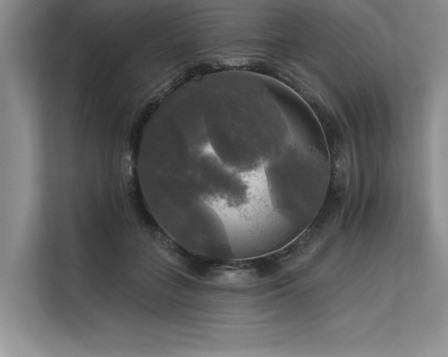 X0000113300555200909211123