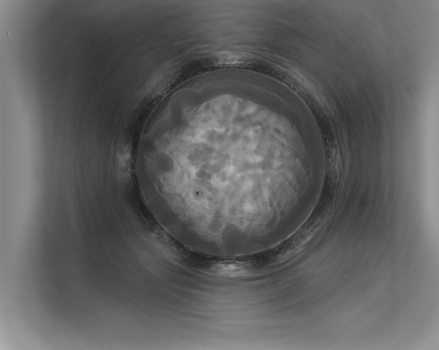 X0000113300557200909211123