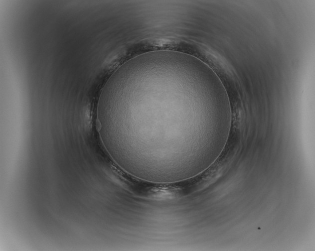 X0000113300558200909211123