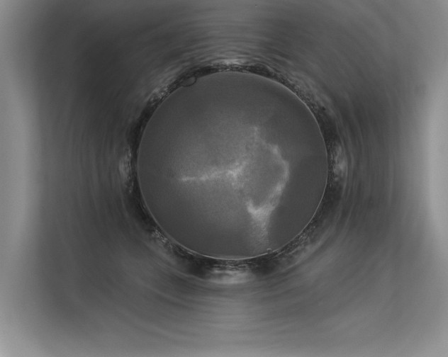 X0000113300559200909211123